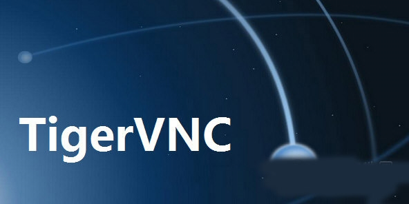 TigerVNC服务器截图2