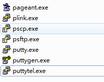 PuTTY图片2