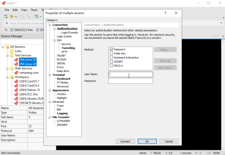 Xshell 7软件图片1