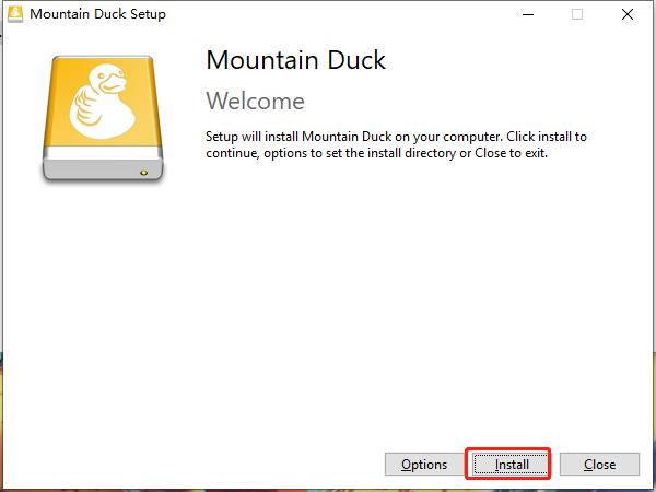 Mountain Duck图片4