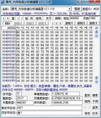 勇芳内存数据分析编辑器图片