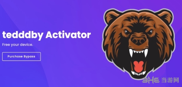 tedddby activator图片1