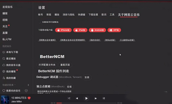 BetterNCM软件截图1