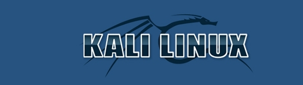 kali linux软件图片