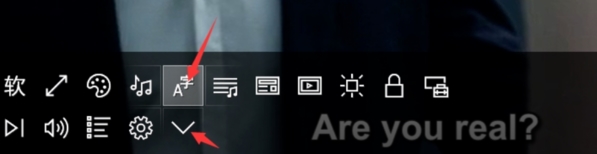 ACG播放器字幕设置界面3
