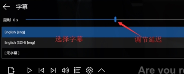 ACG播放器字幕设置界面4
