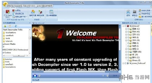 Flash Decompiler Trillix图片