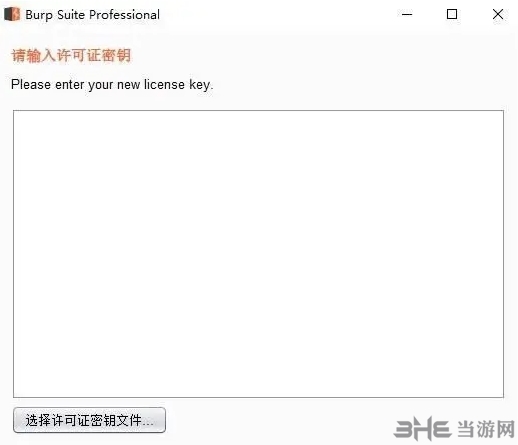 Burp Suite2022图片4