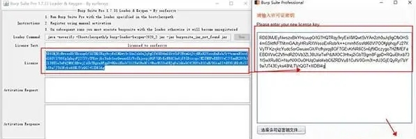 Burp Suite2022图片5