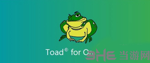 Toad for Oracle2022破解版软件截图2
