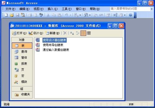 Access2003图片4