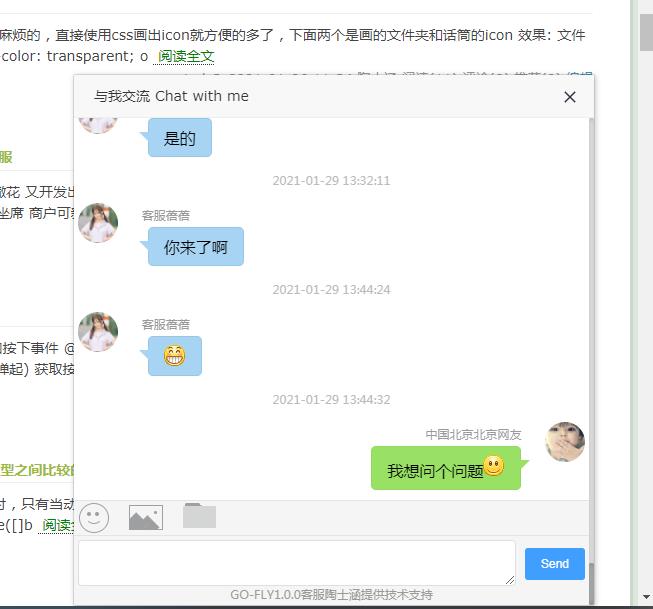 GOFLY客服系统图片2