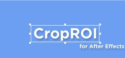 CropROI图片