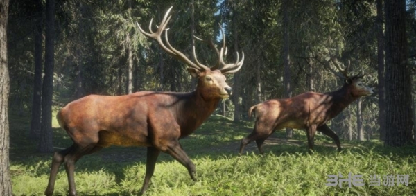 猎人荒野的呼唤dlc补丁下载|猎人荒野的呼唤dlc破解补丁 免费版下载