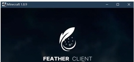 我的世界feather客户端图片1