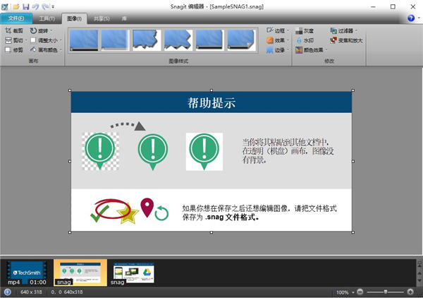 SnagIt图片15