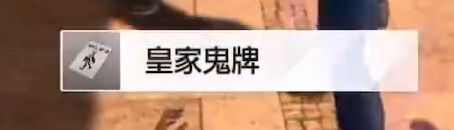 审判之逝：湮灭的记忆图片59