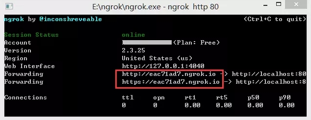 Ngrok图片19