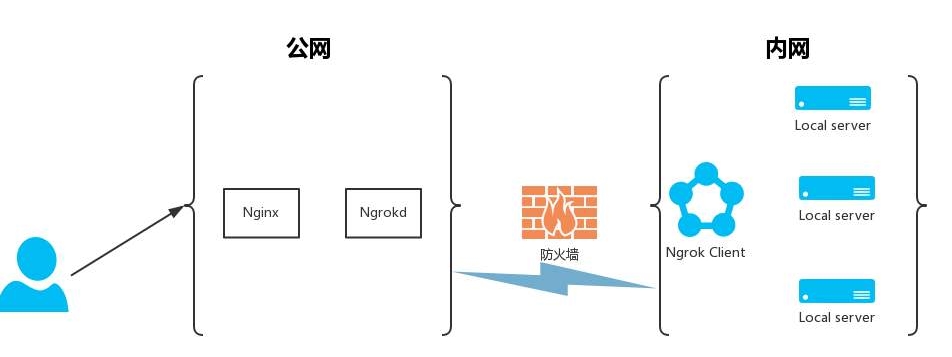 Ngrok图片15