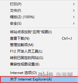 IE7.0图片1