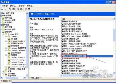 IE7.0图片10