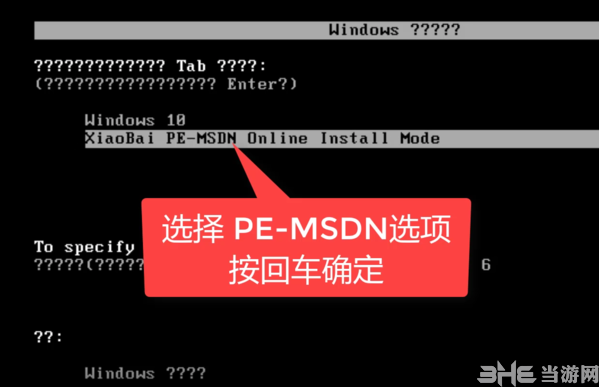 小白系统图片7