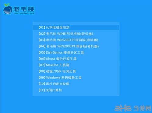 老挑毛u盘启动工具图片3