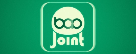 BAO Joint图片1