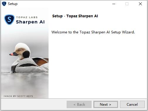 Topaz Sharpen AI图片2