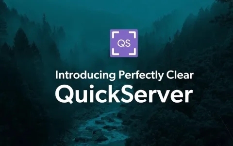Perfectly Clear QuickDesk & QuickServer图片1