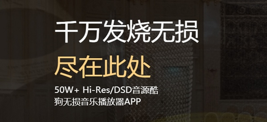 viper hifi电脑版下载|viper hifi电脑版 V1.0.2.0下载