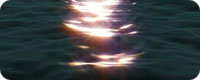 Trapcode Suite图片3
