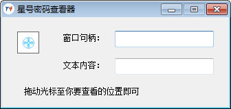 T4星号密码查看器图