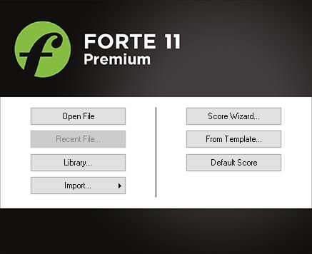 FORTE 11 Premium图片2
