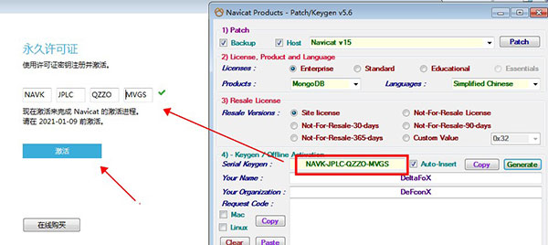 Navicat for MongoDB图片10