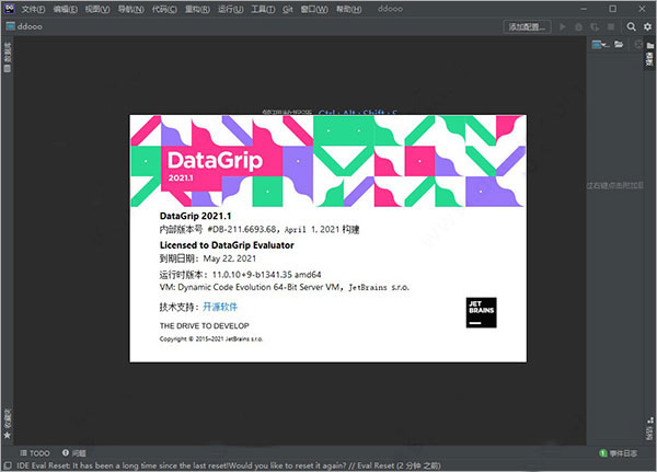 JetBrains DataGrip 2021图片1