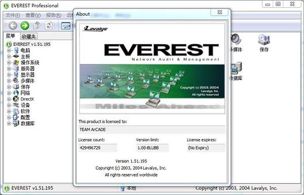 Everest Professional