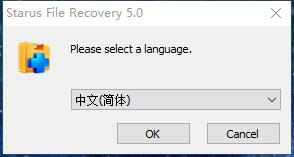 Starus File Recovery图片2