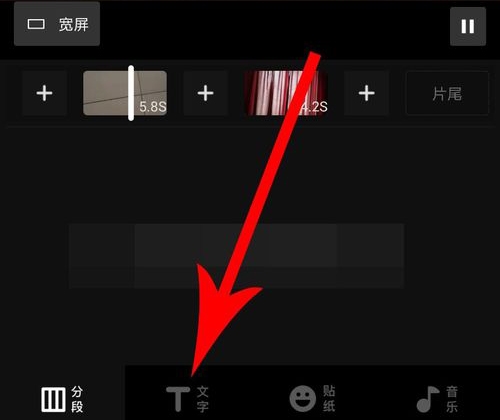 vuevlog怎么加字幕6