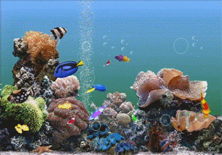 3D海底世界动态屏保