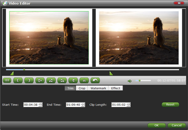 VidMobie DVD Ripper截图