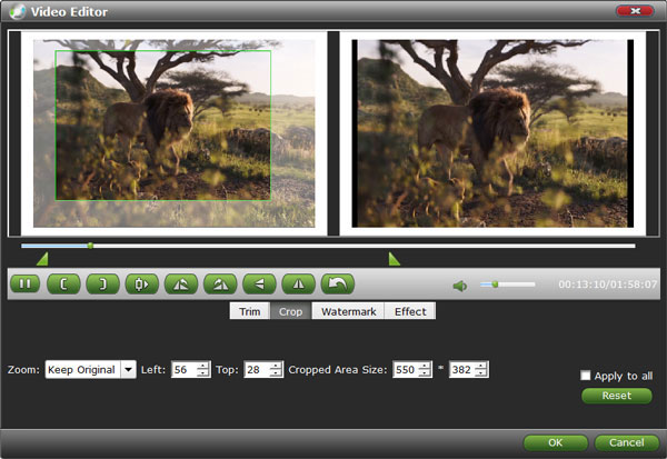 VidMobie DVD Ripper截图