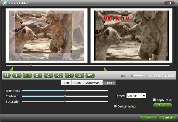 VidMobie DVD Ripper截图