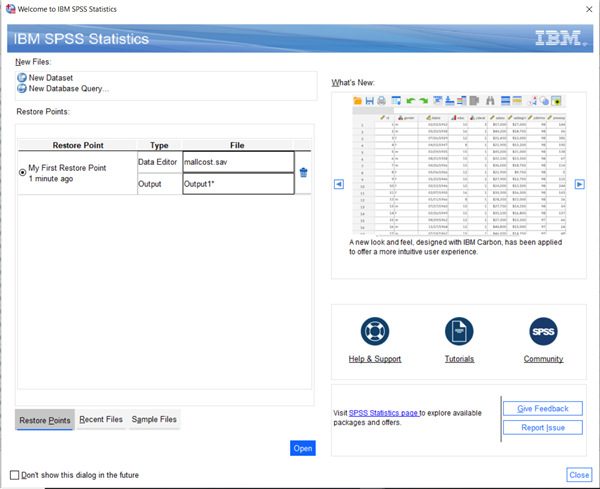 IBM SPSS Statistics 27图片30