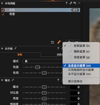 CaptureOne破解版|CaptureOne12 电脑免费版(附破解教程)v12.0.4下载插图9