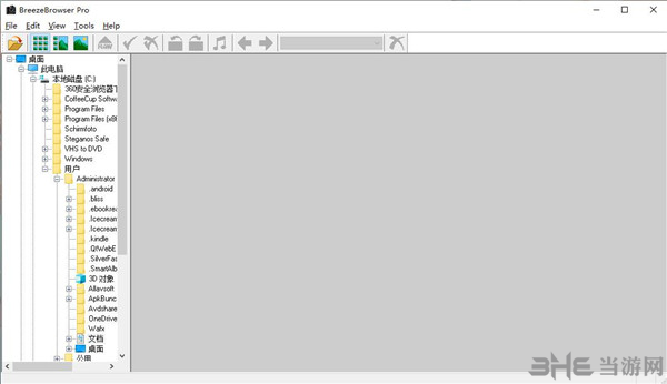 BreezeBrowser破解版下载|BreezeBrowser Pro破解版 附注册机v1.12.3下载