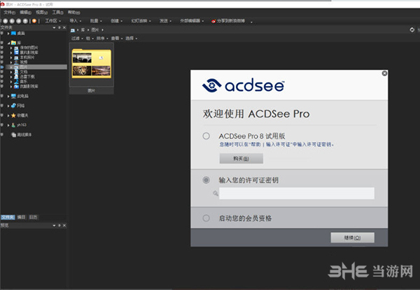 ACDSee Pro 81