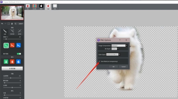Topaz Remask 5保存Png图4