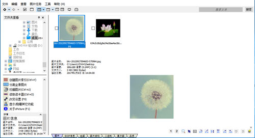 cPicture软件截图4