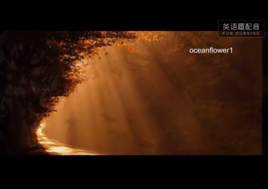 点盾云播放器图片3